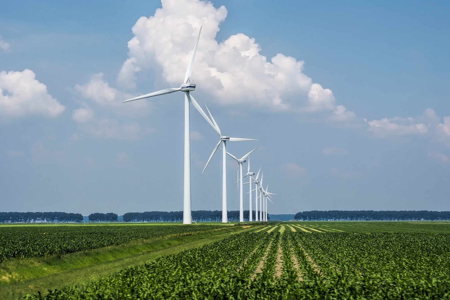 Éolienne terrestre (onshore)