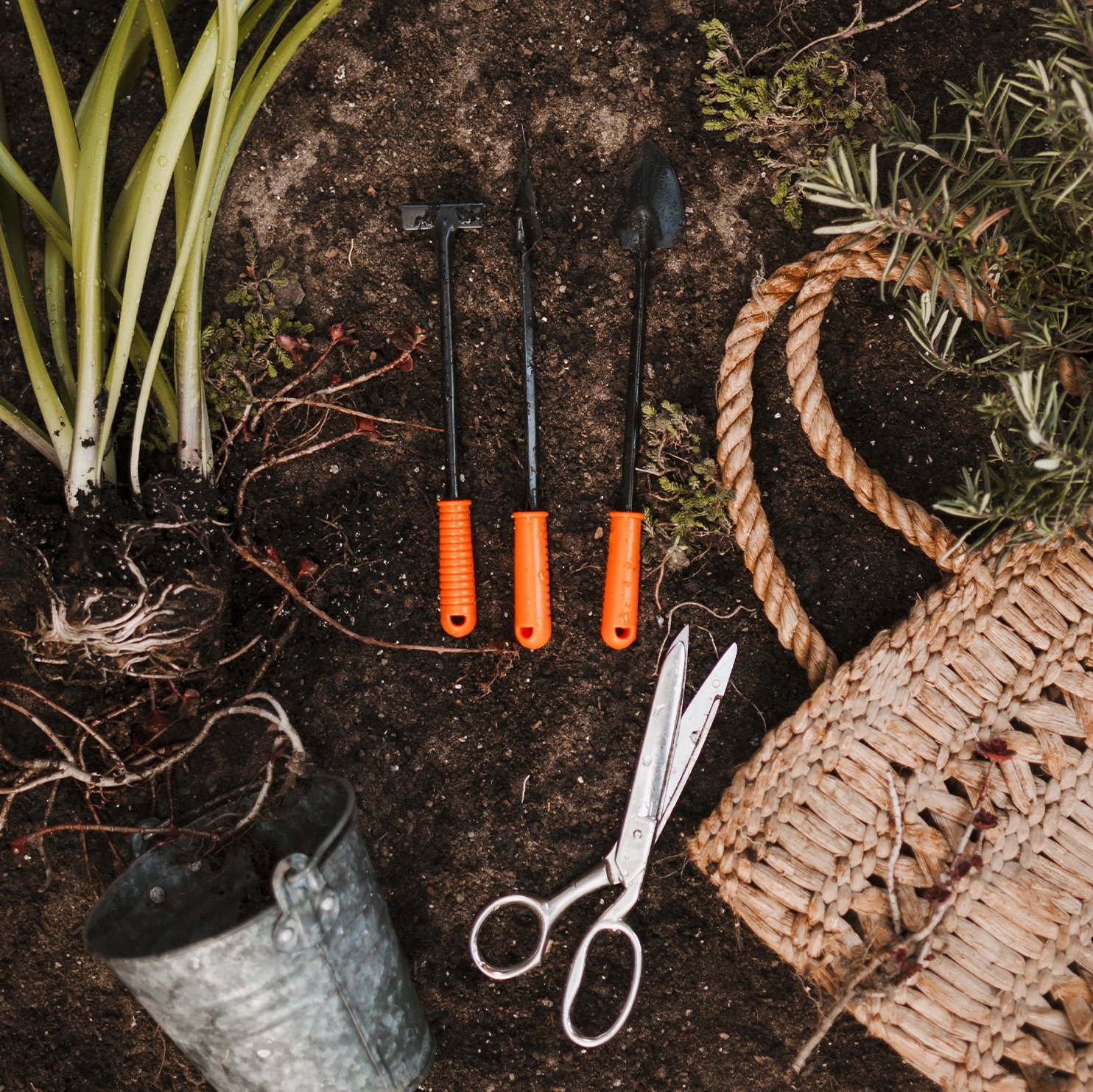Meilleurs produits Brico-Jardin éco-responsables