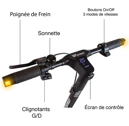 Trotinette Électrique Autonome et Pro Wispeed C8-40 Pro