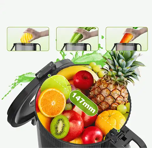 NutriJuice : Votre extracteur de jus à froid pour des jus vitaux !