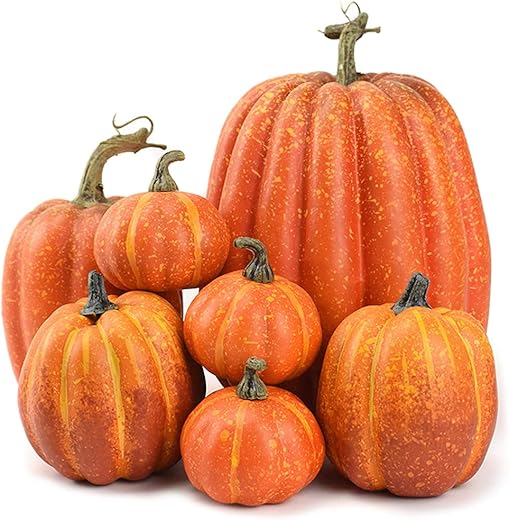 Citrouilles d’automne