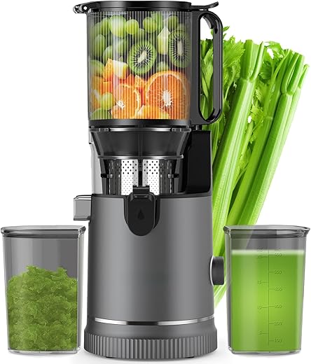 Top 5 Des Centrifugeuses Pour Jus Frais: Guide d’Achat et Tests 2026/26