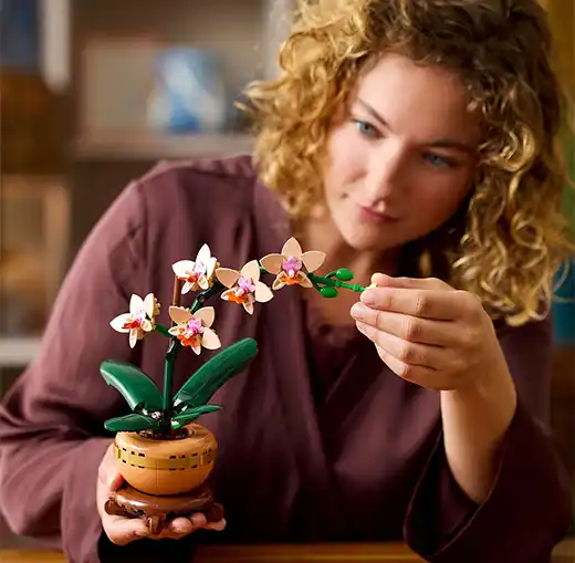 LEGO Botanicals Orchidée