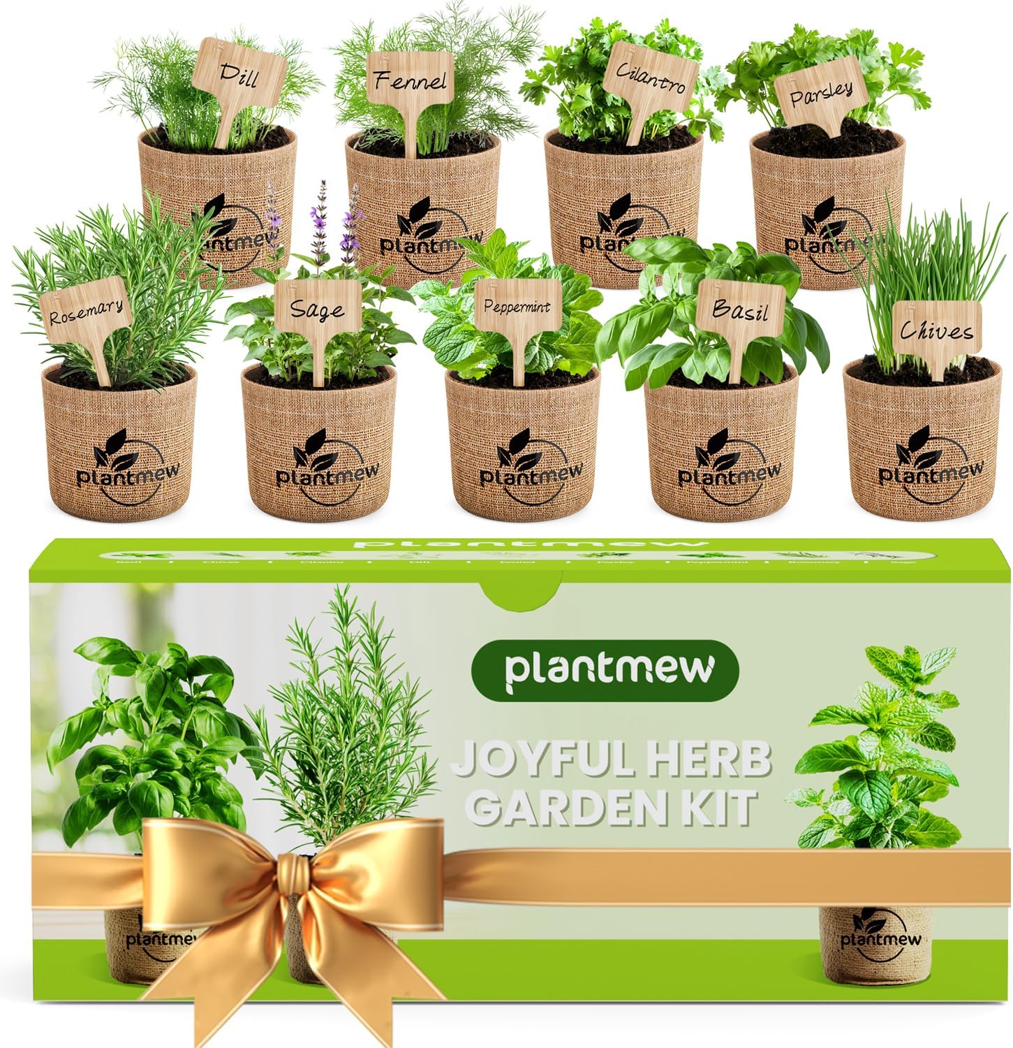 Kit de plantation d’herbes aromatiques pour intérieur